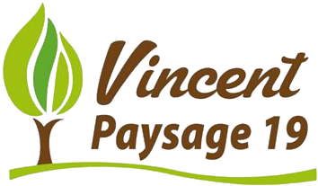 Vincent Paysage 19 